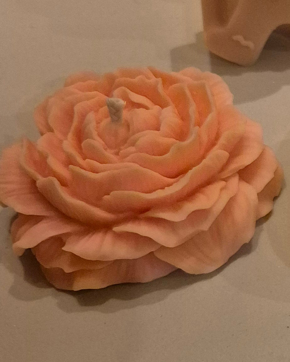 Céleste