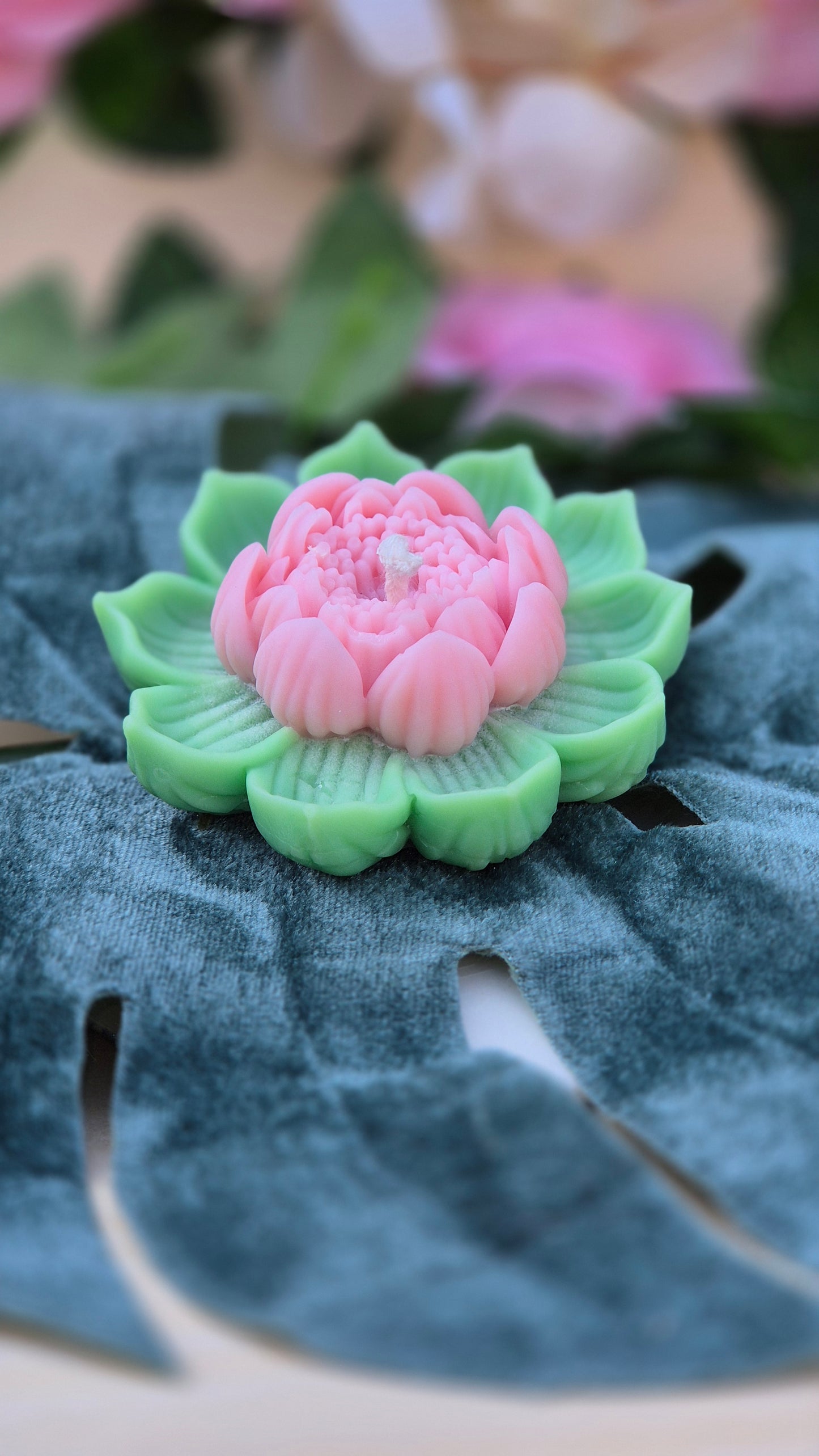 fleur de lotus