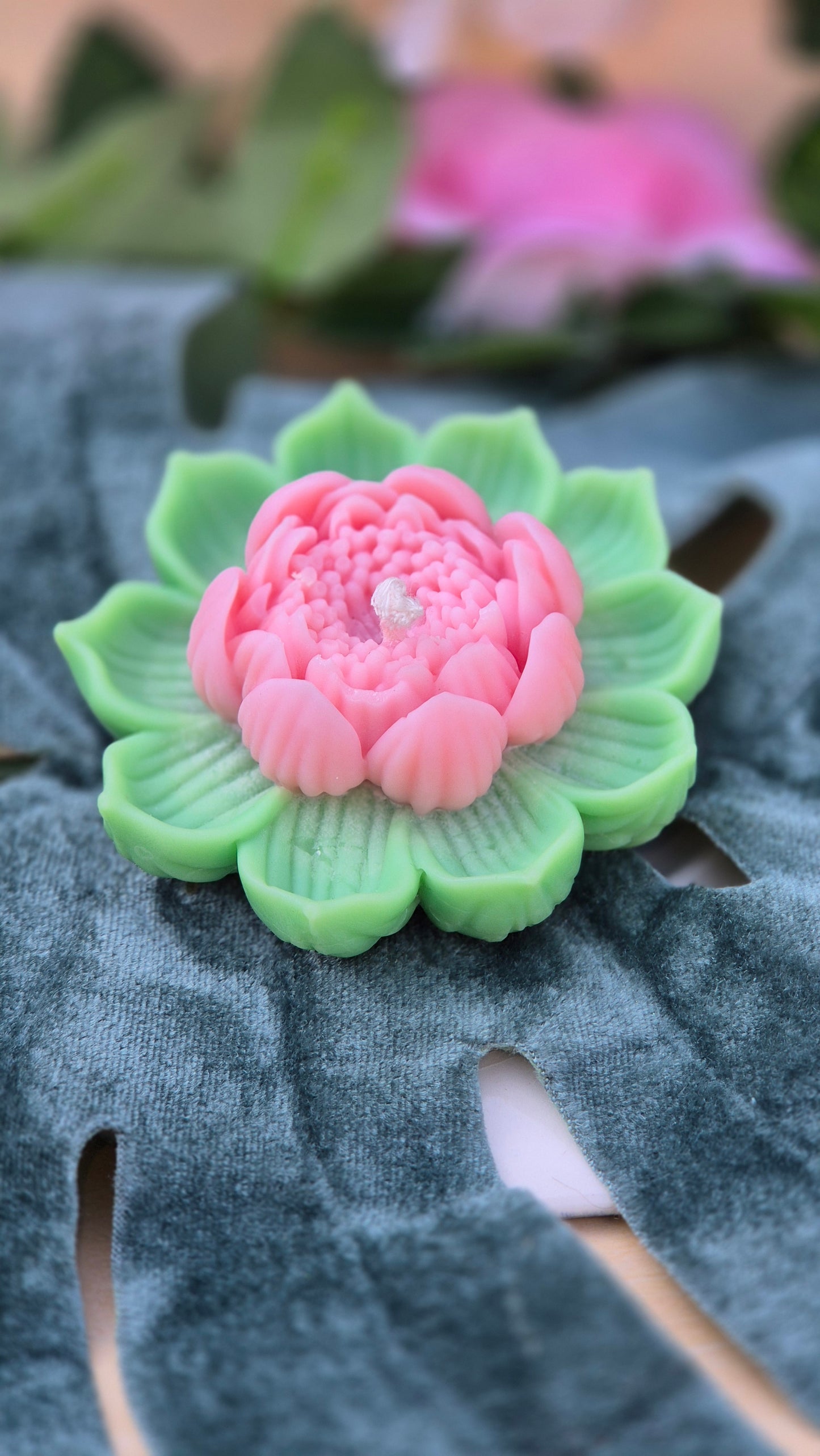 fleur de lotus