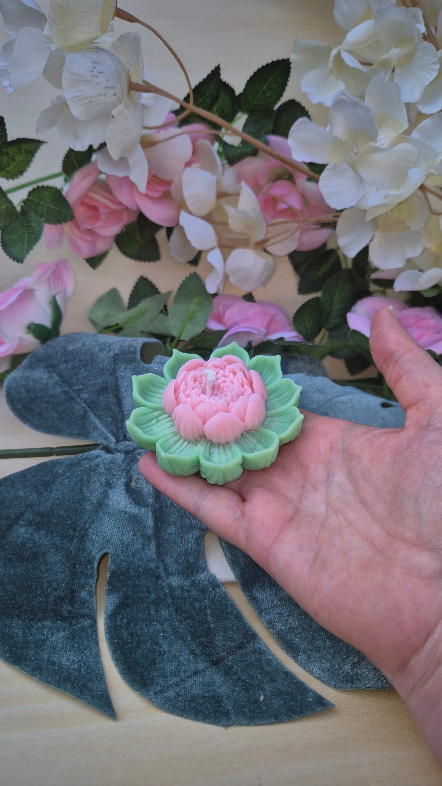 fleur de lotus