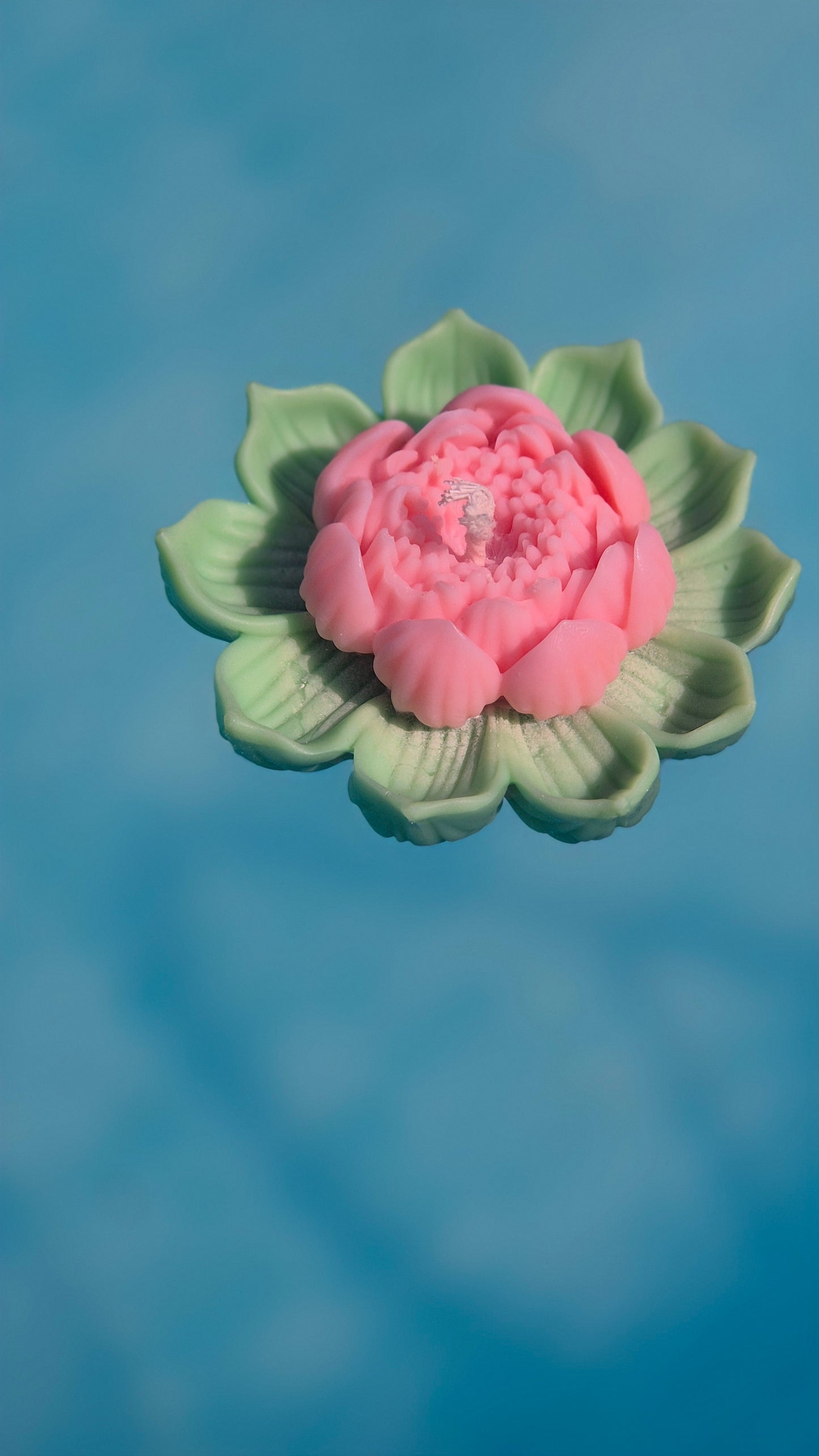 fleur de lotus