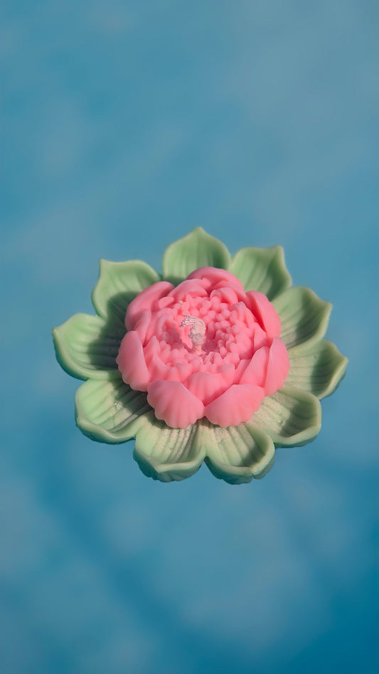 fleur de lotus